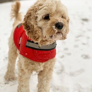 Meet your Posher, Victoria